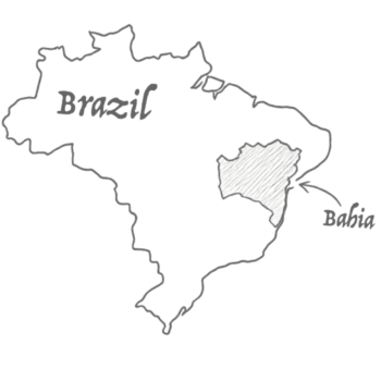 bahia outline