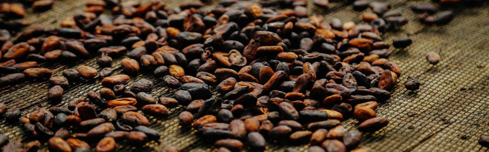 &nbsp;
